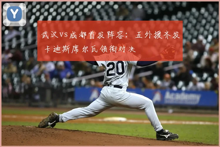 武汉vs成都首发阵容:五外援齐发 卡迪斯席尔瓦领衔对决