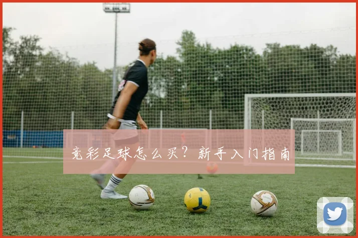 竞彩足球怎么买？新手入门指南