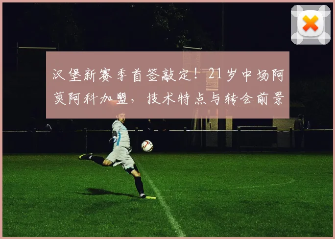 汉堡新赛季首签敲定！21岁中场阿莫阿科加盟，技术特点与转会前景深度解析